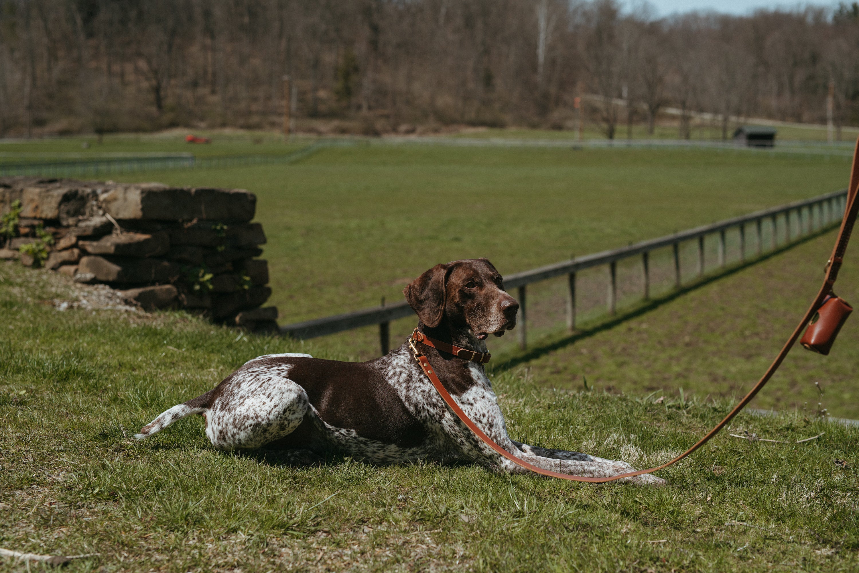 The Coco Leash